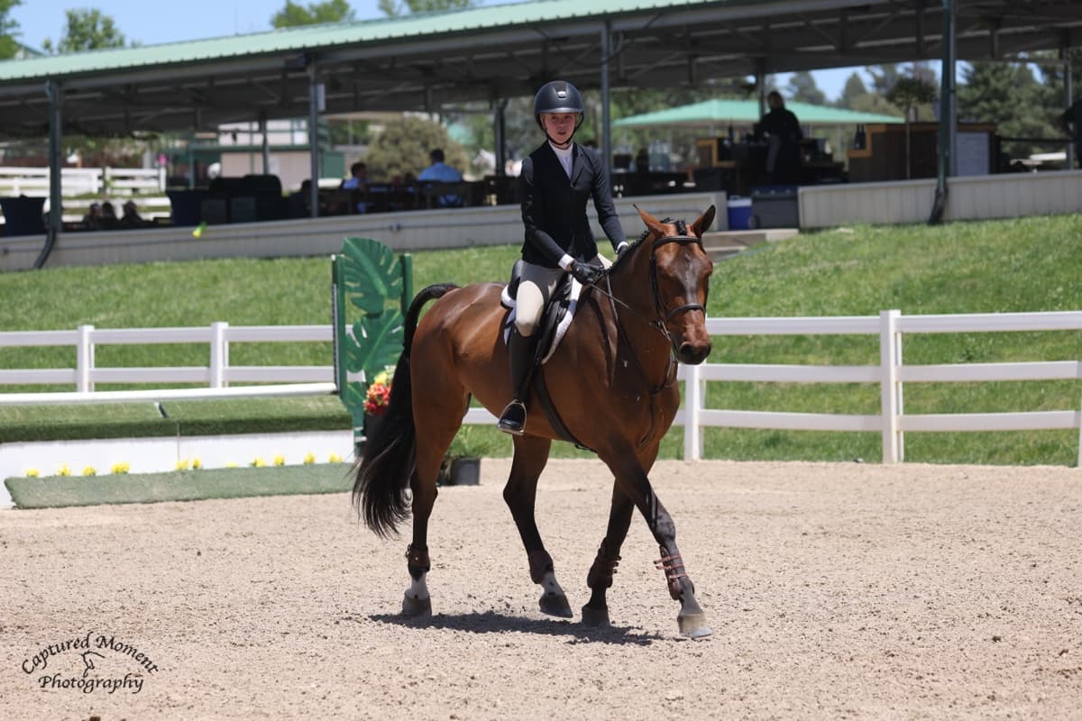Tully walking her horse on the flat at a show, a calm moment between rounds.