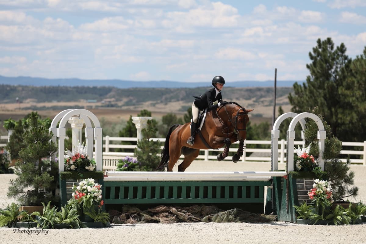 Tully riding a bay horse over a flower-adorned oxer, mountains in the background.