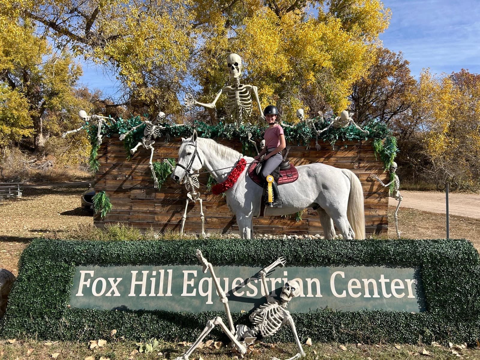 Tully on a white horse in front of a Halloween-decorated jump at Fox Hill Equestrian Center.